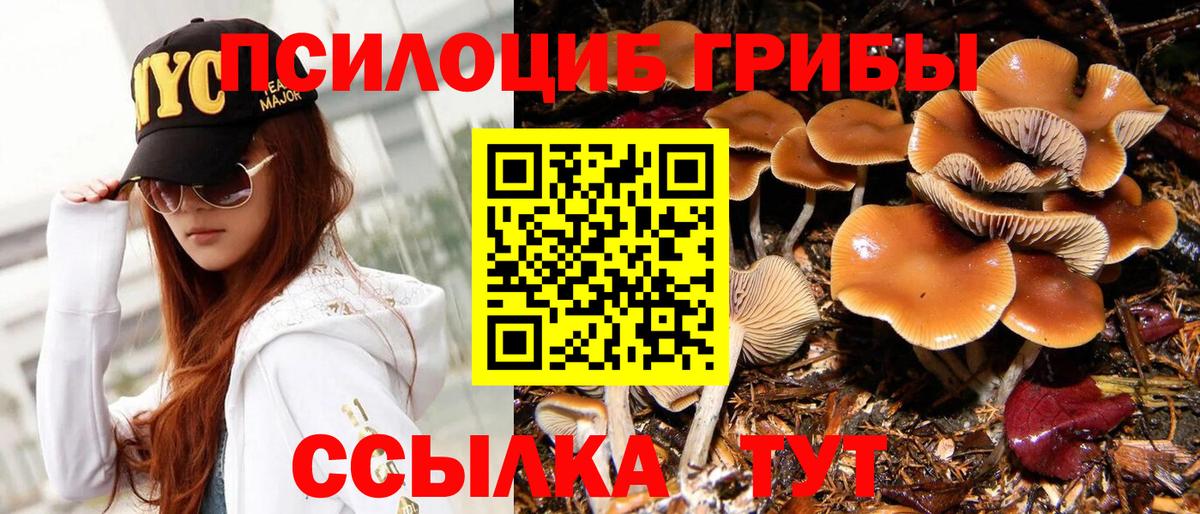 Псилоцибиновые грибы Psilocybe Жуковский